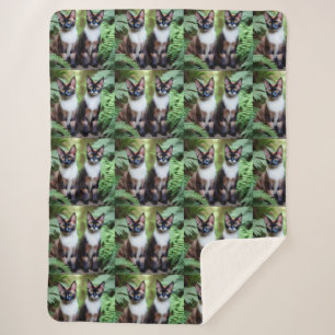 Chocolate Siamese Cat Twins, Lge Sherpa Blanket Sherpa Deken