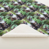 Chocolate Siamese Cat Twins, Lge Sherpa Blanket Sherpa Deken (3/4)