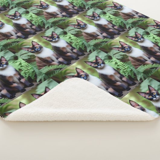 Chocolate Siamese Cat Twins, Lge Sherpa Blanket Sherpa Deken (3/4)