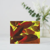 Choisya Autumn 2 briefkaart (Staand voorkant)