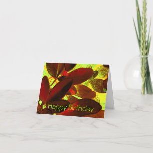 Choisya Autumn 2 "Happy Birthday"-briefkaart Kaart