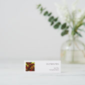 Choisya Autumn 2 vierkante sjabloon witte rok Mini Visitekaartje (Staand voorkant)