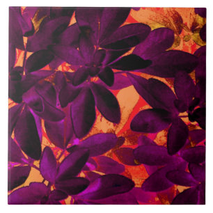 Choisya Autumn 3 keramische tegel Tegeltje