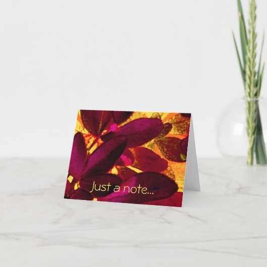 Choisya Autumn "Just a note"-briefkaart Kaart (Voorkant)