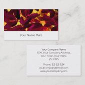 Choisya Autumn visitekaartje stripe white (Voorkant / Achterkant)