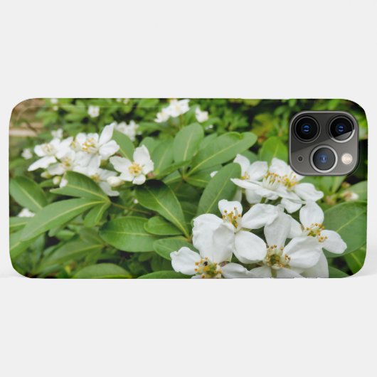 Choisya Ternata Case-Mate iPhone Case (Achterkant (horizontaal))