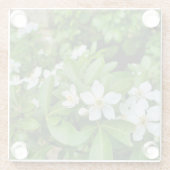 Choisya Ternata Glazen Onderzetter (Achterkant)