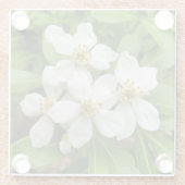 Choisya Ternata Glazen Onderzetter (Achterkant)