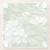 Choisya Ternata Glazen Onderzetter (Achterkant)