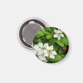 Choisya Ternata Magneet (Voorkant / Achterkant)