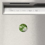 Choisya Ternata Magneet (Insitu (Vaatwasser))