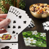 Choisya Ternata Pokerkaarten (Insitu)