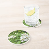 Choisya Ternata Zandsteen Onderzetter (Zijkant)