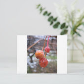 Choke cherry briefkaart (Staand voorkant)