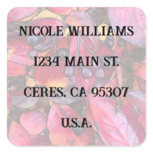 Chokecherries Adreslabel - Envelope Stickers