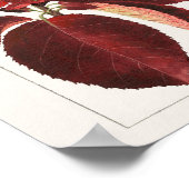 Chokecherry Leaves (Prunus virginiana) Schilting Poster (Hoek)