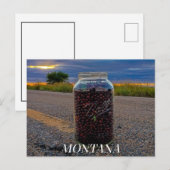 ChokeCherry Zomer Briefkaart (Voorkant / Achterkant)