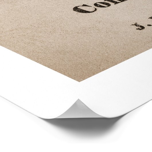 Cholera Medicine Broadside print 1870 (Hoek)