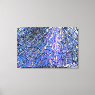 Cholesterolkristallen bekeken in gepolariseerd lic canvas afdruk