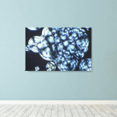 Cholesterolkristallen bekeken in gepolariseerd lic canvas afdruk (Insitu (Houten vloer))