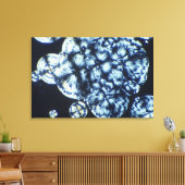 Cholesterolkristallen bekeken in gepolariseerd lic canvas afdruk (Insitu (Woonkamer))