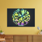 Cholesterolkristallen Canvas Afdruk (Insitu (Woonkamer))
