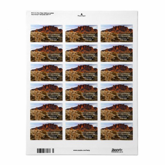 Cholla Cactus and Superstition Mountain / Arizona Etiket (Full Sheet)