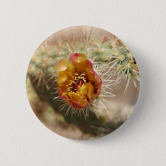 Cholla Cactus Bloom Ronde Button 5,7 Cm (Voorkant)