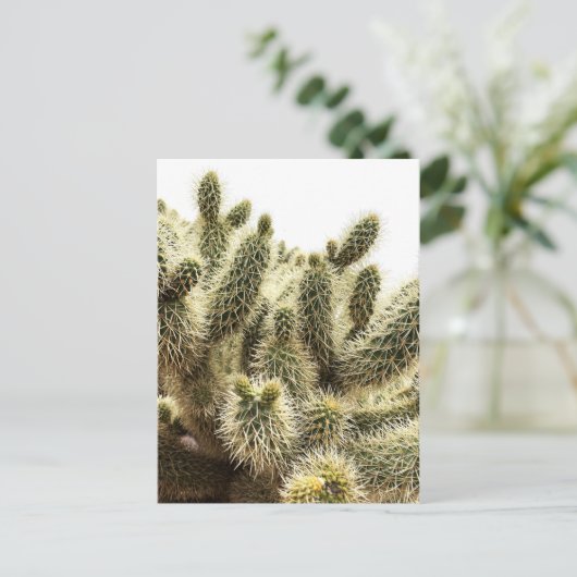 Cholla Cactus Briefkaart (Staand voorkant)
