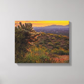 Cholla Cactus Desert Flowers Arizona Sunset 14x11 Canvas Afdruk (Voorkant)