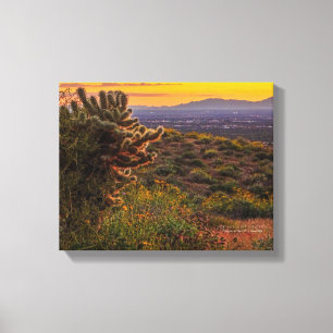 Cholla Cactus Desert Flowers Arizona Sunset 14x11 Canvas Afdruk