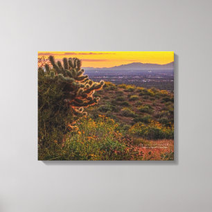 Cholla Cactus Desert Flowers Arizona Sunset 20x16 Canvas Afdruk