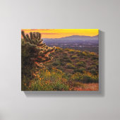Cholla Cactus Desert Flowers Arizona Sunset 8 x 10 Canvas Afdruk (Voorkant)