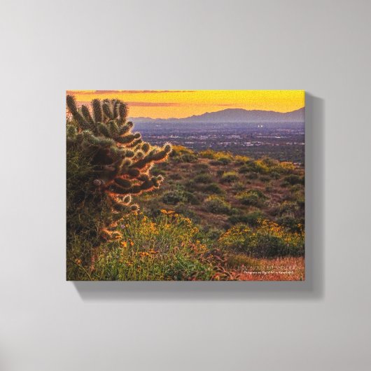 Cholla Cactus Desert Flowers Arizona Sunset 8 x 10 Canvas Afdruk (Voorkant)