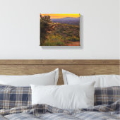 Cholla Cactus Desert Flowers Arizona Sunset 8 x 10 Canvas Afdruk (Insitu (Slaapkamer))
