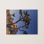 Cholla cactus en Pet Rock, Joshua Tree Legpuzzel (Horizontaal)