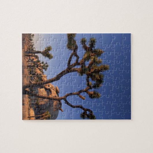 Cholla cactus en Pet Rock, Joshua Tree Legpuzzel (Horizontaal)