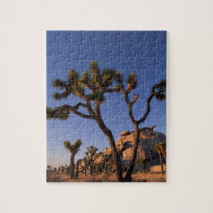 Cholla cactus en Pet Rock, Joshua Tree Legpuzzel