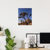 Cholla cactus en Pet Rock, Joshua Tree Poster (Thuiskantoor)