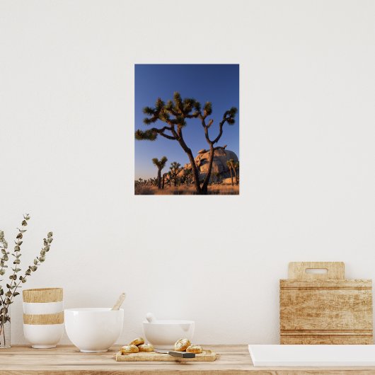 Cholla cactus en Pet Rock, Joshua Tree Poster (Keuken)