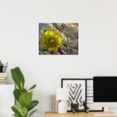 Cholla Cactus Flower Poster (Thuiskantoor)