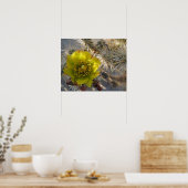 Cholla Cactus Flower Poster (Keuken)