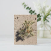 Cholla Cactus Groeiend in een Scheur in het Trotto Feestdagenkaart (Staand voorkant)