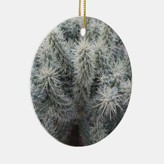 Cholla Cactus in Arizona Keramisch Ornament (Rechts)