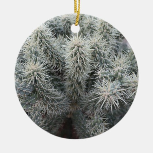 Cholla Cactus in Arizona Keramisch Ornament (Voorkant)