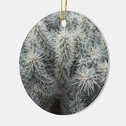Cholla Cactus in Arizona Keramisch Ornament (Links)