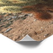 Cholla Cactus Joshua Tree Park Poster (Hoek)