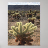 Cholla Cactus Joshua Tree Park Poster (Voorkant)
