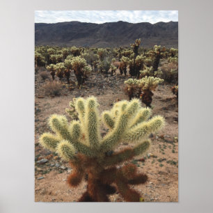 Cholla Cactus Joshua Tree Park Poster