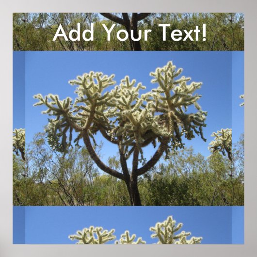 Cholla Cactus Poster (Voorkant)
